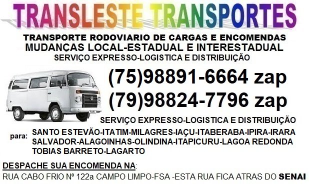 Transleste Transportes - Classificadosbr